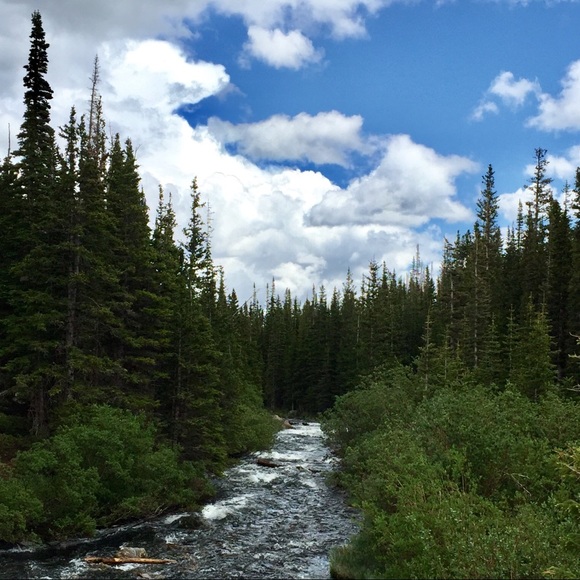 👉Meet your Posher, Jeanette - Picture 1 of 14